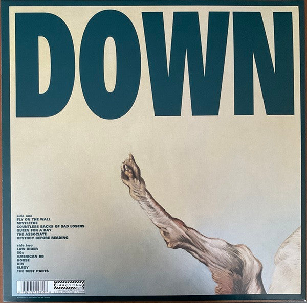 THE JESUS LIZARD : DOWN LP 180G