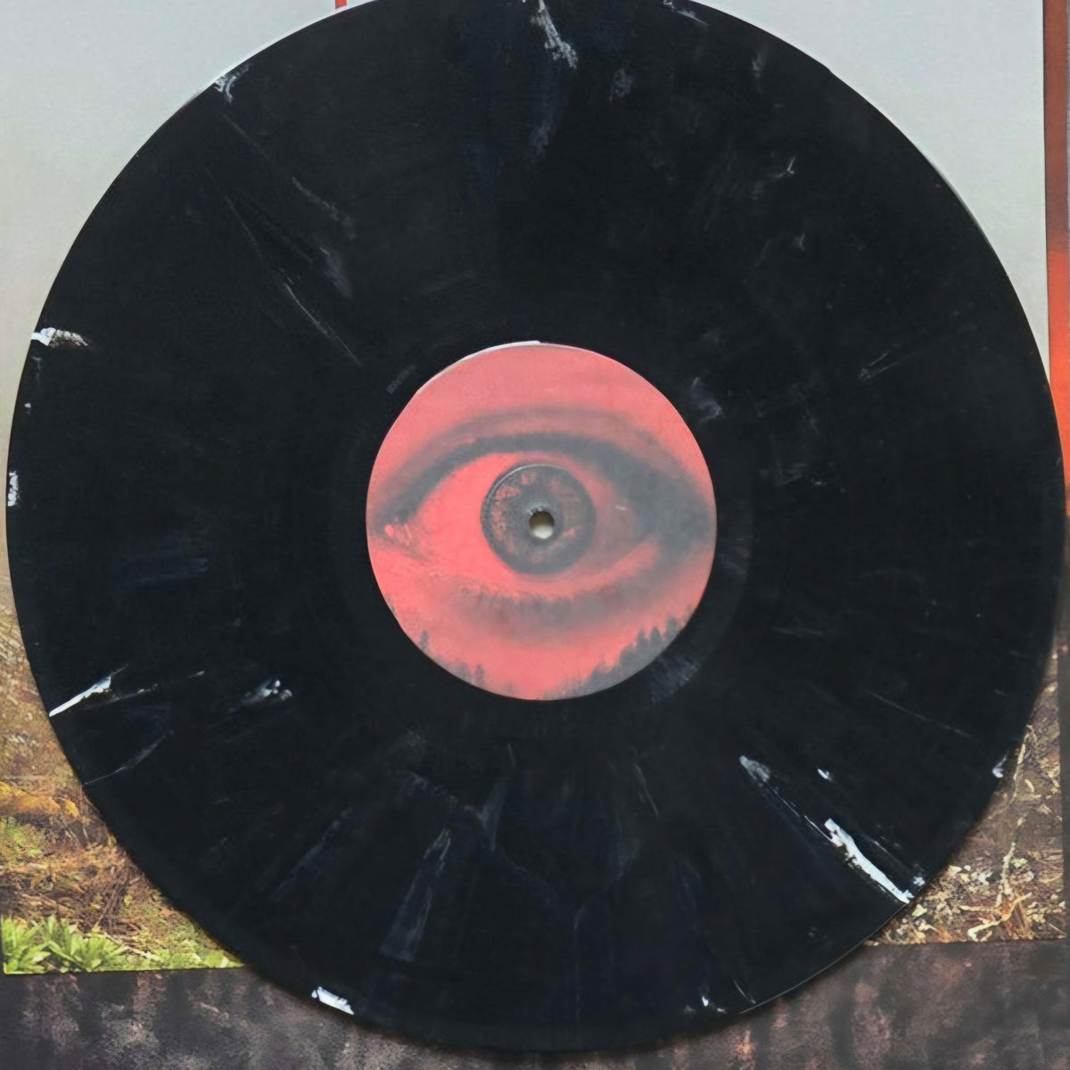 WHITECHAPEL : THE VALLEY LTD LP 180G BLACK WITH WHITE SPECKS