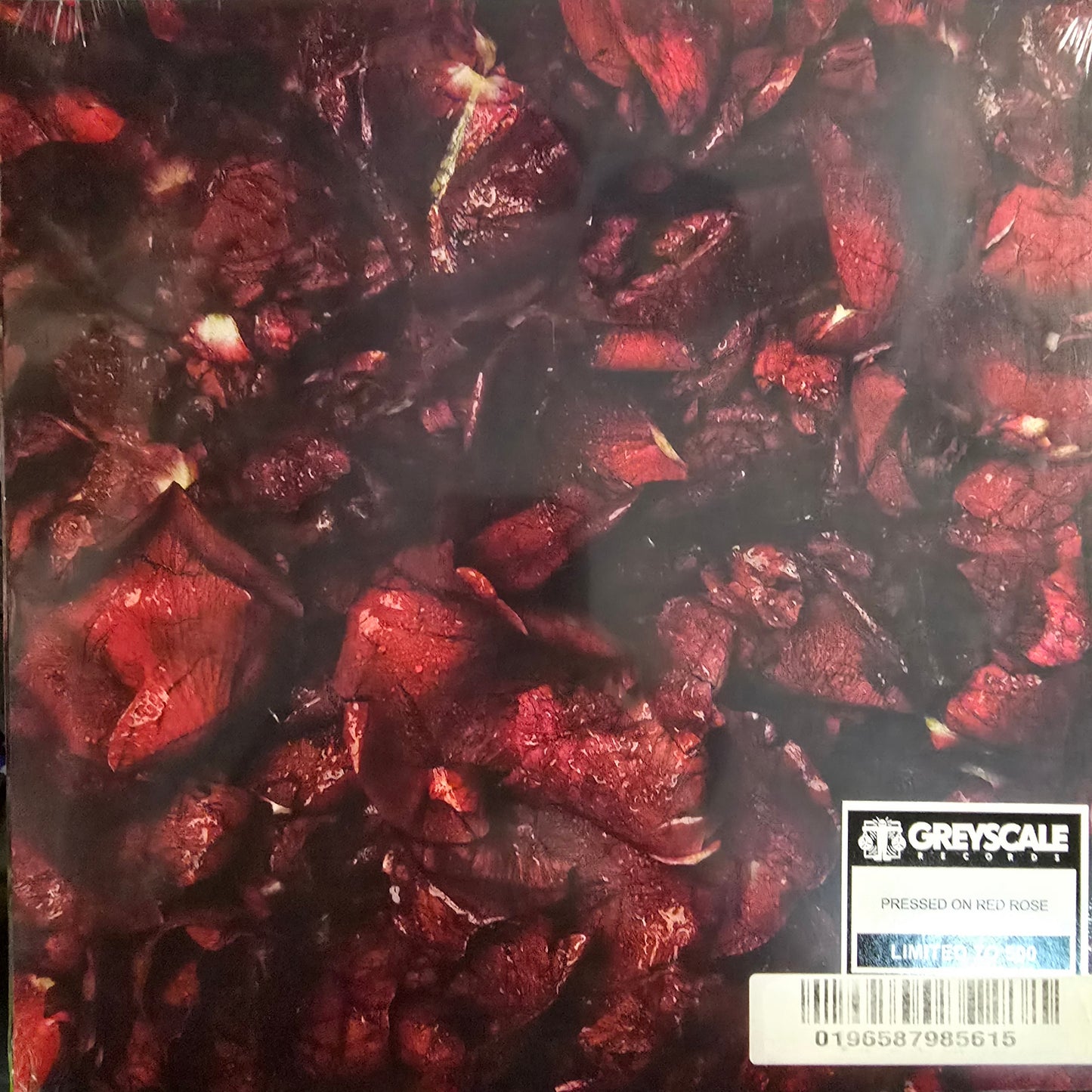 MAKE THEM SUFFER : NEVERBLOOM LP 180G