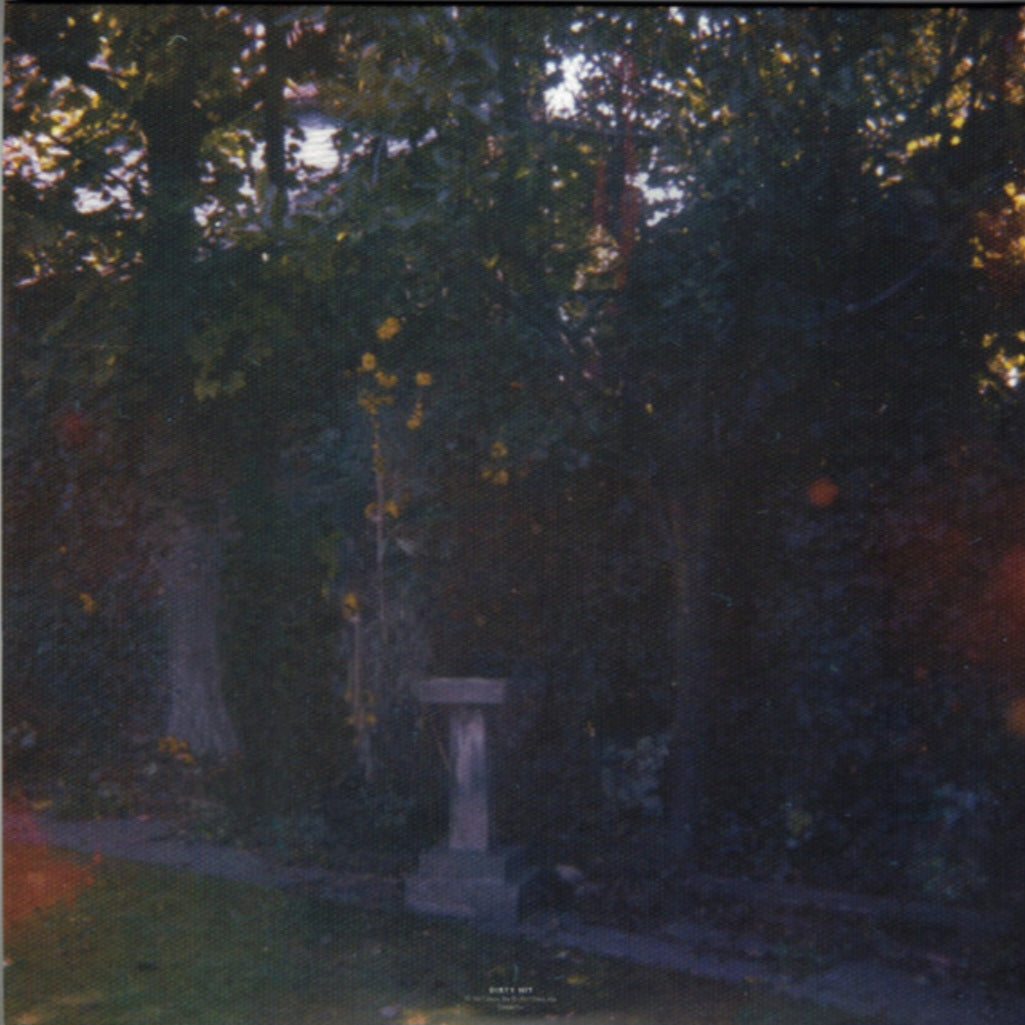 WOLF ALICE : VISIONS OF A LIFE 2LP 180G
