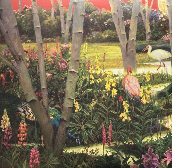 RIVAL SONS : FERAL ROOTS 2LP 180G