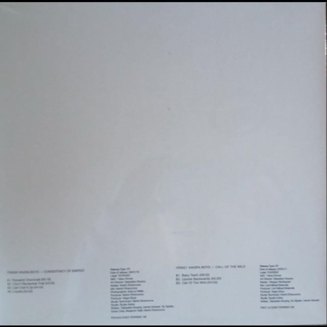 VIAGRA BOYS : CALL OF THE WILD / CONSISTENCY OF ENERGY LP 180G