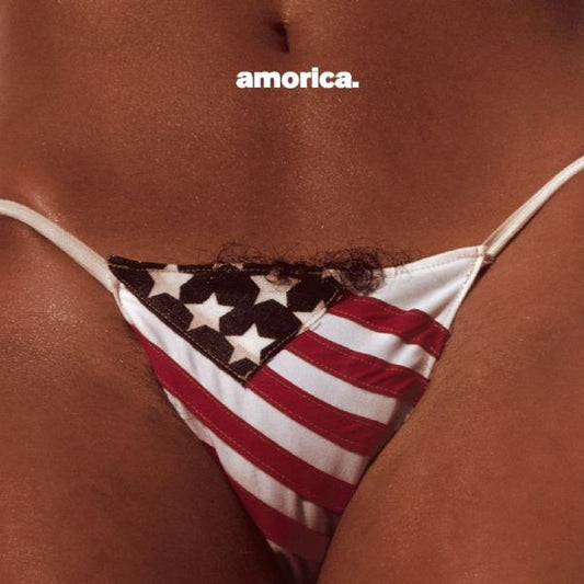 THE BLACK CROWES : AMORICA 2LP 180G