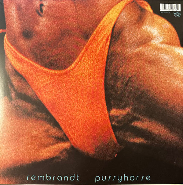 BUTTHOLE SURFERS : REMBRANDT PUSSYHORSE : LP 180G