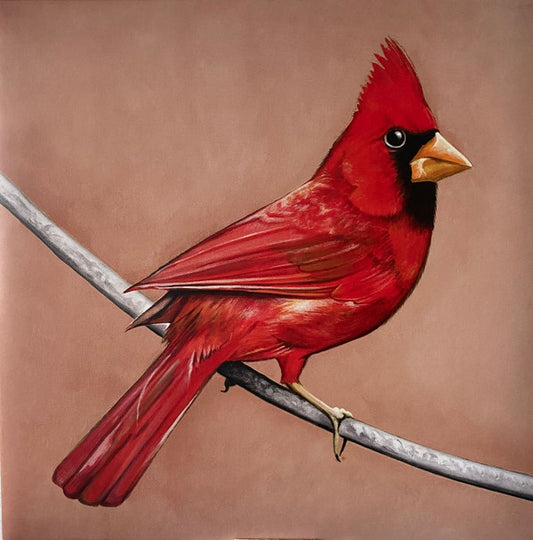 ALEXISONFIRE : OLD CROWS/YOUNG CARDINALS 2LP 180G