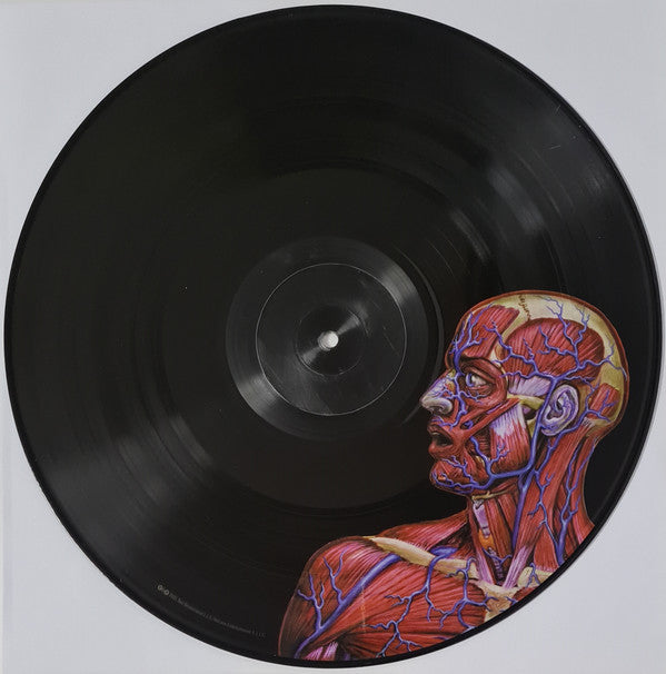 TOOL : LATERALUS LTD 2LP PICTURE DISK