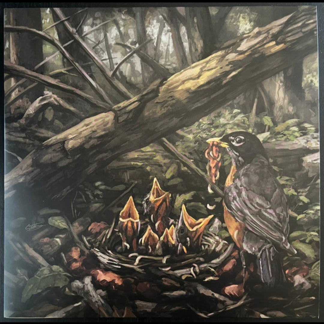 THE ACACIA STRAIN : STEP INTO THE LIGHT LTD LP 180G HIGHLIGHTER YELLOW VINYL