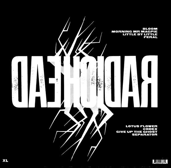 RADIOHEAD : THE KING OF LIMBS LP 180G