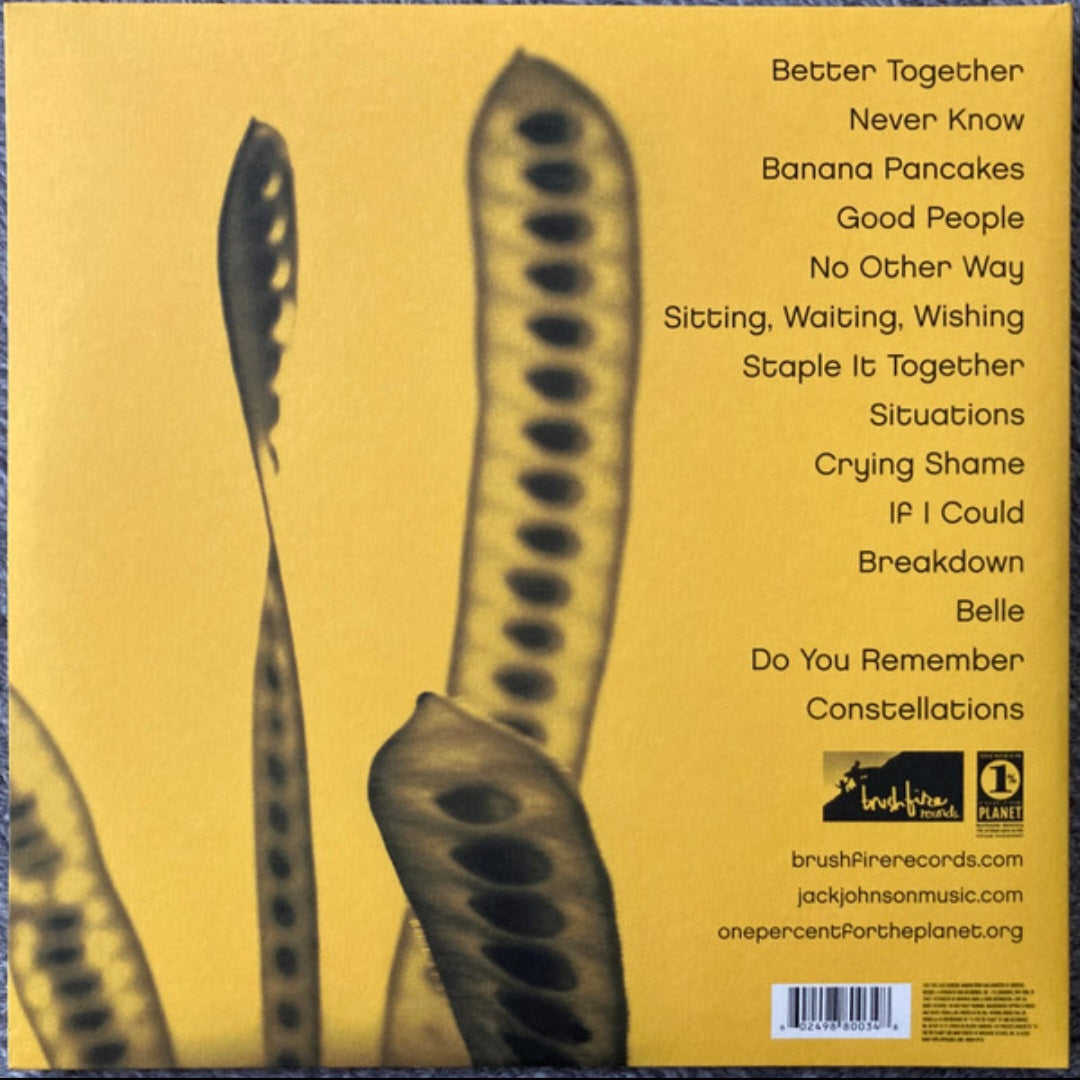 JACK JOHNSON : IN BETWEEN DREAMS LP 180G