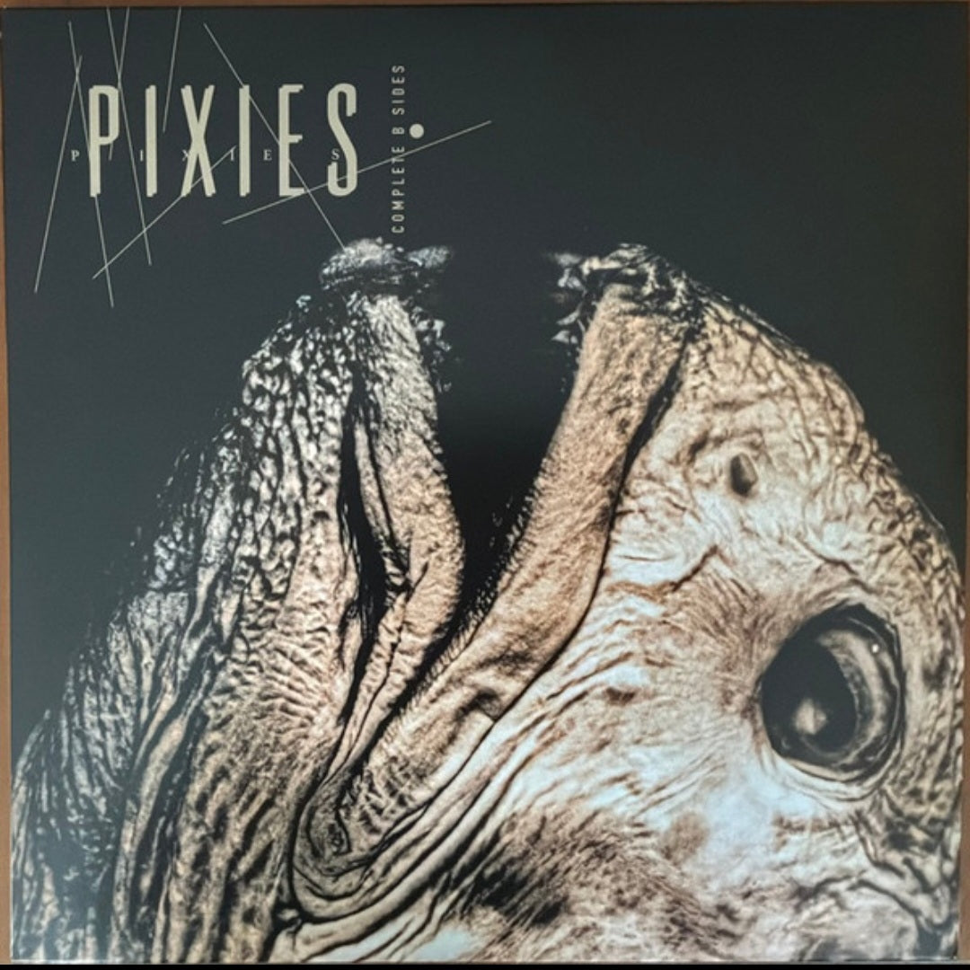 PIXIES : COMPLETE B SIDES 1988-97 LTD 2LP 180G CLEAR VINYL