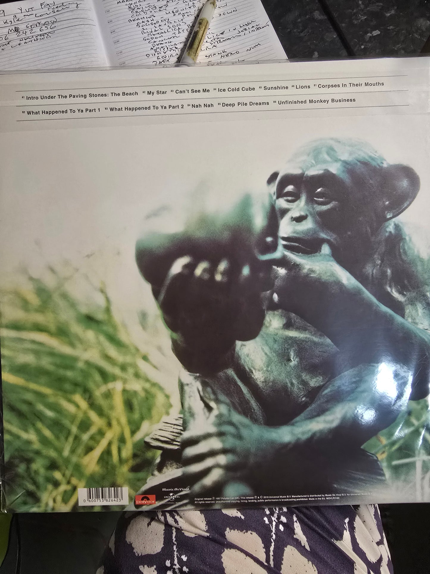 IAN BROWN : UNFINISHED MONKEY BUSINESS LP 180G