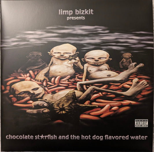LIMP BIZKIT : CHOCOLATE STARFISH AND THE HOTDOG FLAVOURED WATER LTD 2LP 180G SILVER BROWN VINYL