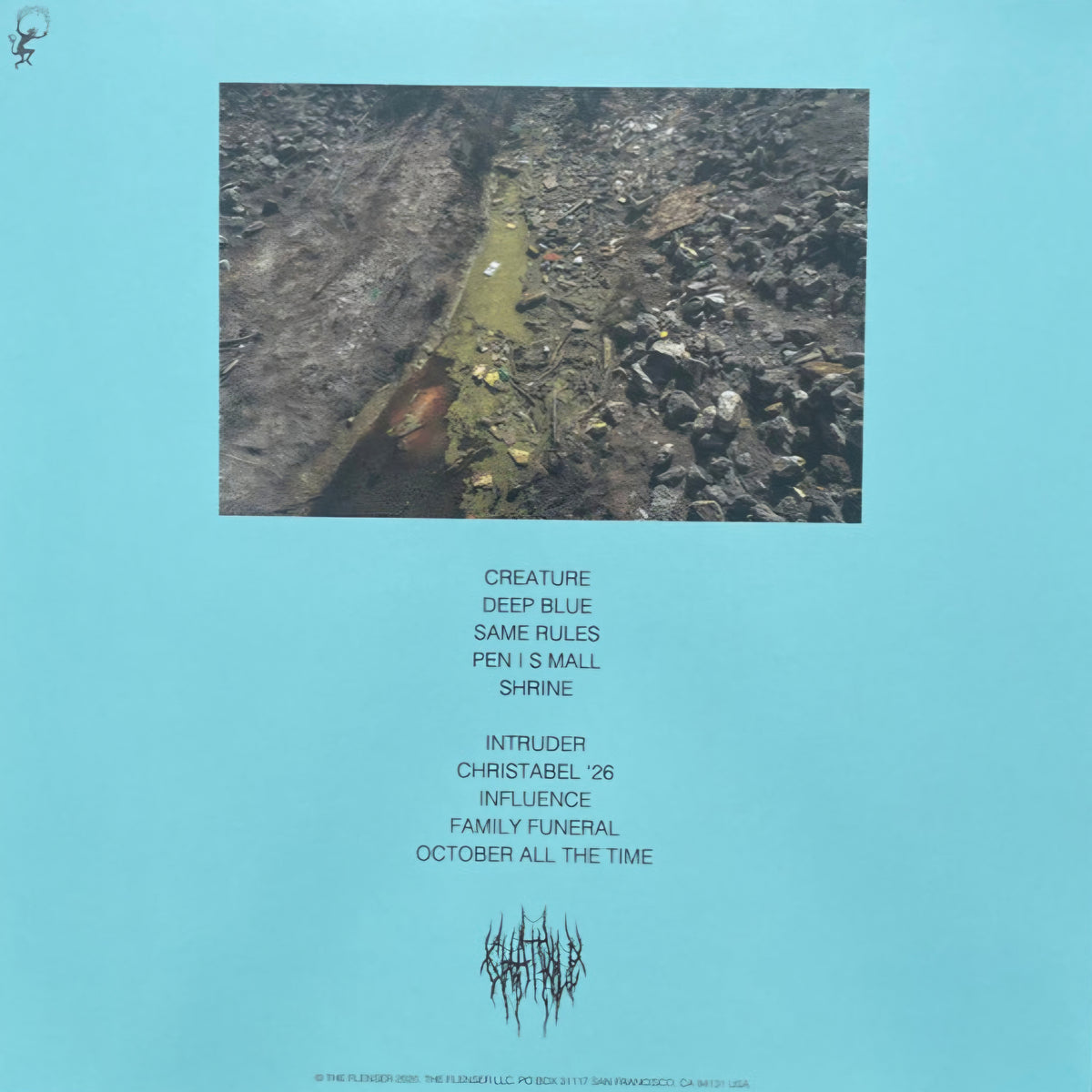 CHAT PILE : WHO LOVES THE SUN LP 180G