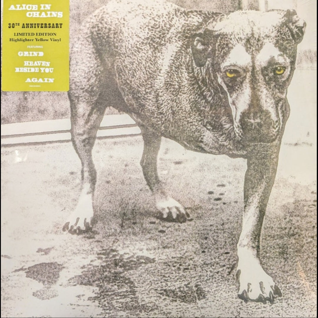 ALICE IN CHAINS : ALICE IN CHAINS LTD 2LP 180G HIGHLIGHTER YELLOW VINYL