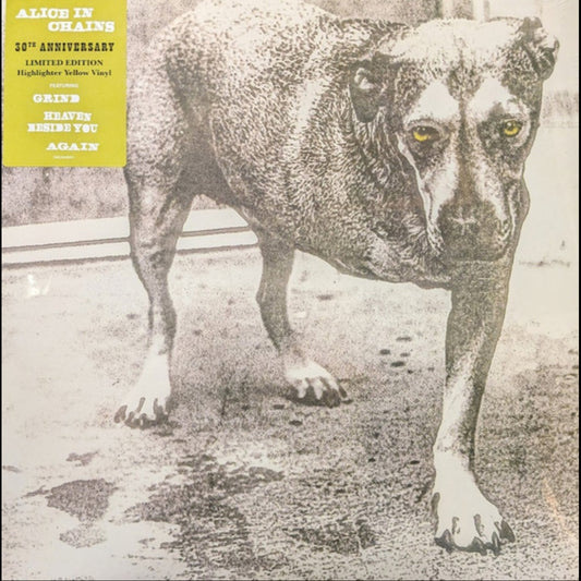 ALICE IN CHAINS : ALICE IN CHAINS LTD 2LP 180G HIGHLIGHTER YELLOW VINYL
