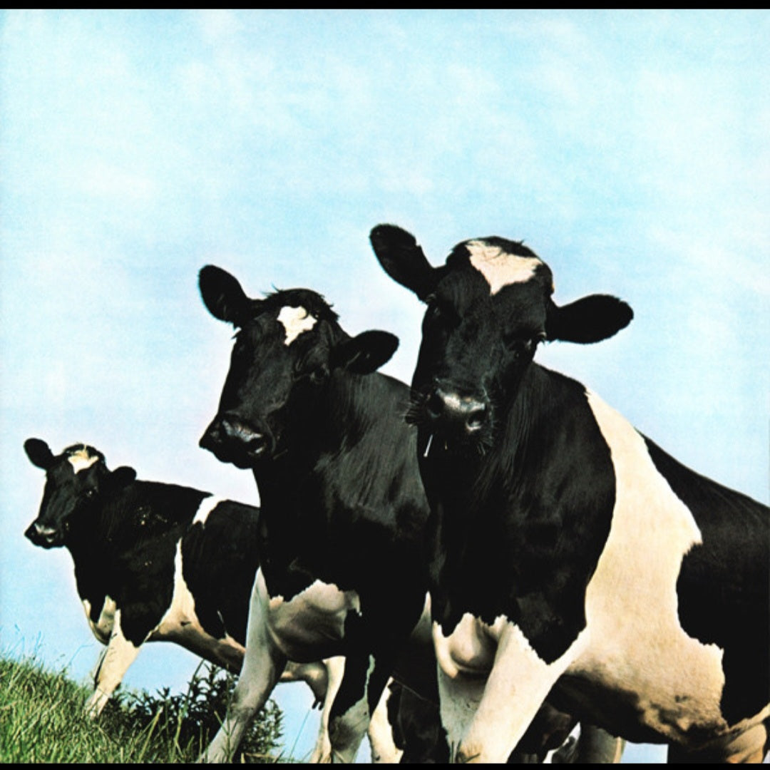 PINK FLOYD : ATOM HEART MOTHER LP 180G