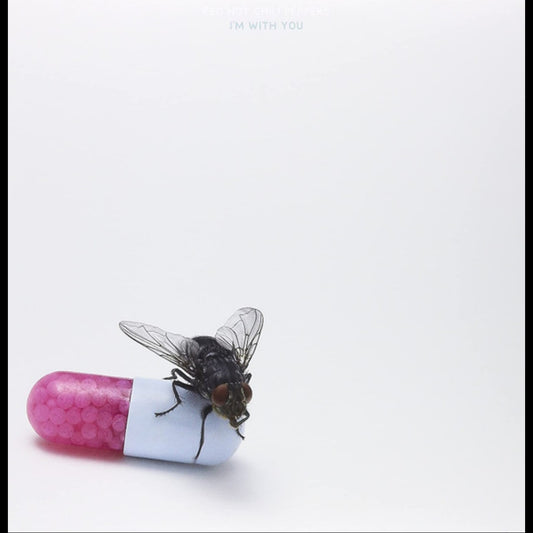 RED HOT CHILI PEPPERS : IM WITH YOU 2LP 180G