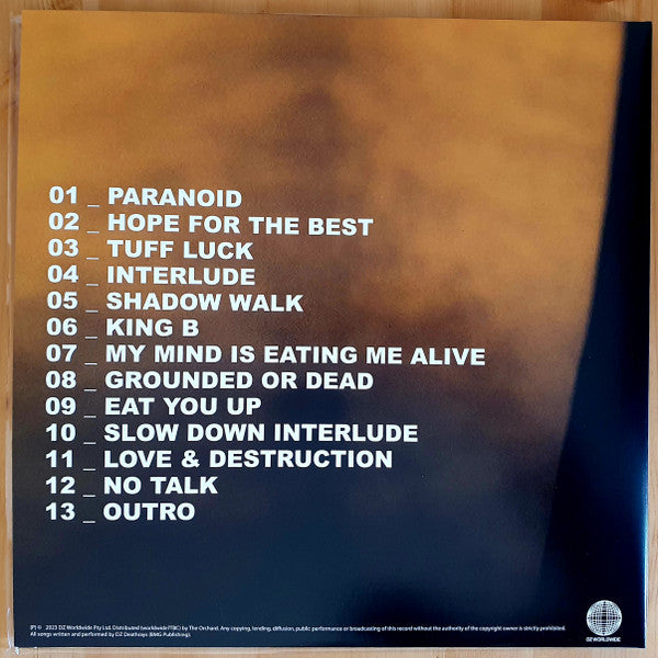 DZ DEATHRAYS : RIFF LP 180G
