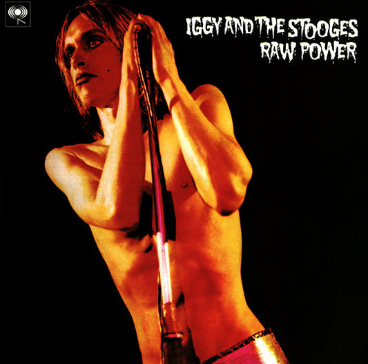 IGGY AND THE STOOGES : RAW POWER LTD 2LP 180G