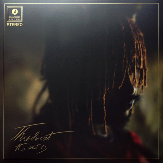 THUNDERCAT : IT IS WHAT IT IS LTD LP 180G RED VINYL