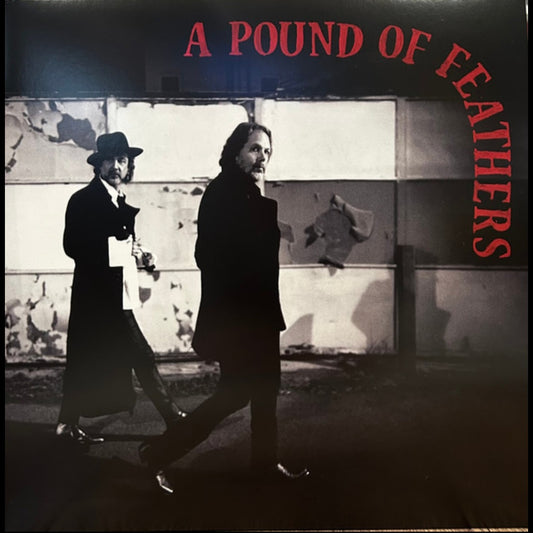 THE BLACK CROWES : A POUND OF FEATHERS LP 180G
