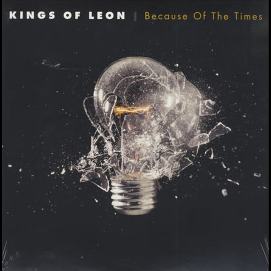 KINGS OF LEON : BECAUSE OF THE TIMES 2LP 180G