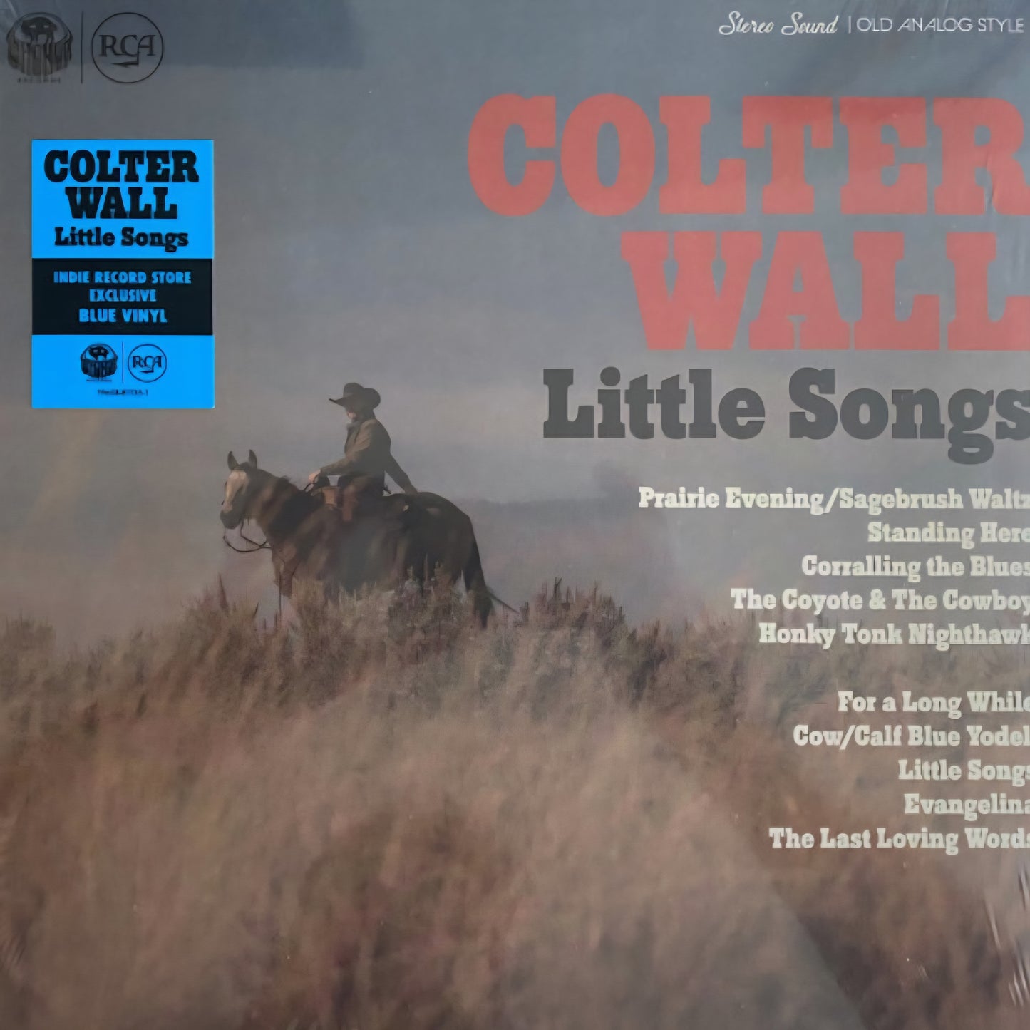 COLTER WALL : LITTLE SONGS LTD LP 180G BLUE VINYL