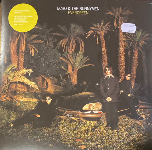 ECHO & THE BUNNYMEN : EVERGREEN LTD 25TH ANNIVERSARY LP 180G WHITE VINYL