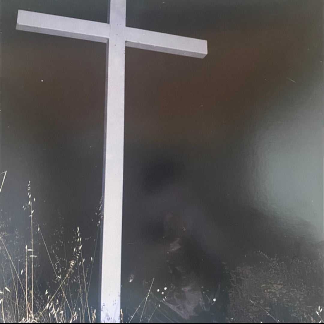 JPEGMAFIA : I LAY DOWN MY LIFE FOR YOU LTD LP 180G WHITE VINYL
