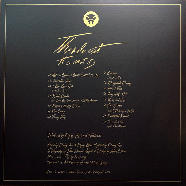THUNDERCAT : IT IS WHAT IT IS LTD LP 180G RED VINYL