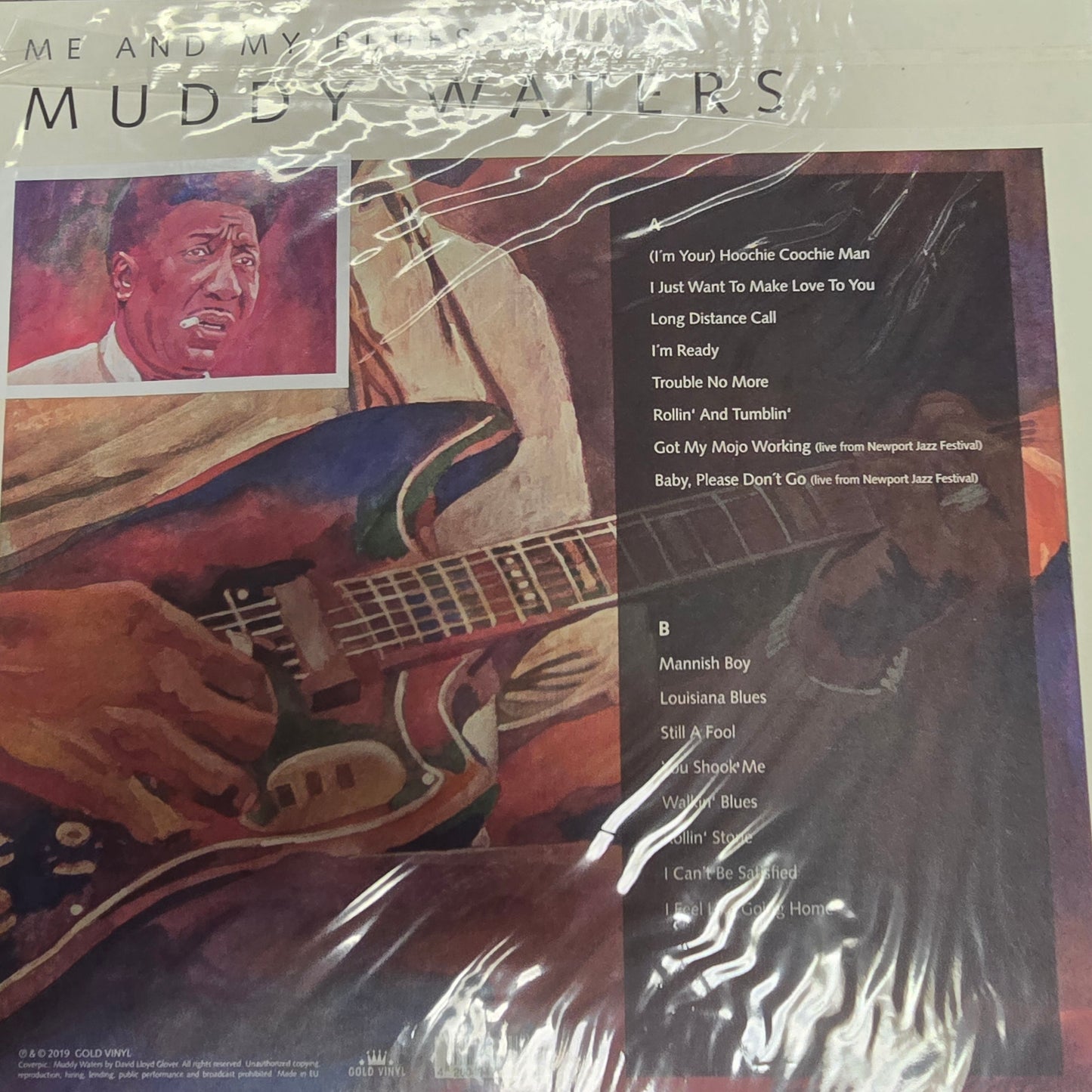 MUDDY WATERS : ME AND MY BLUES LP 180G