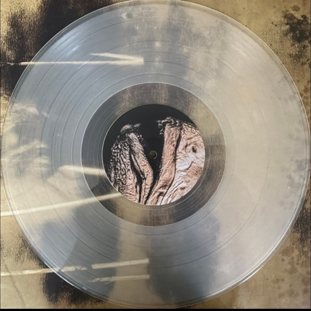 PIXIES : COMPLETE B SIDES 1988-97 LTD 2LP 180G CLEAR VINYL